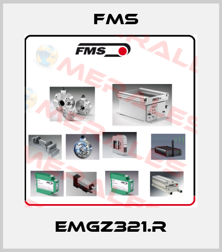 EMGZ321.R Fms