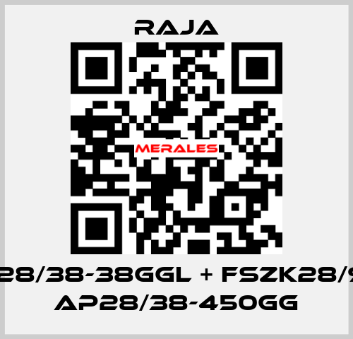 AM28/38-38GGL + FSZK28/92 + AP28/38-450GG Raja
