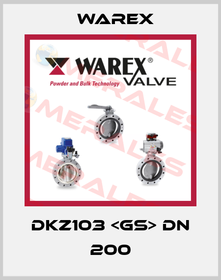 DKZ103 <GS> DN 200 Warex