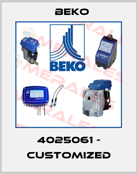 4025061 - customized Beko