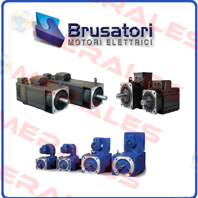 1007728901002 OEM Brusatori