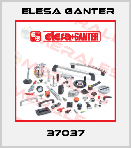 37037 Elesa Ganter