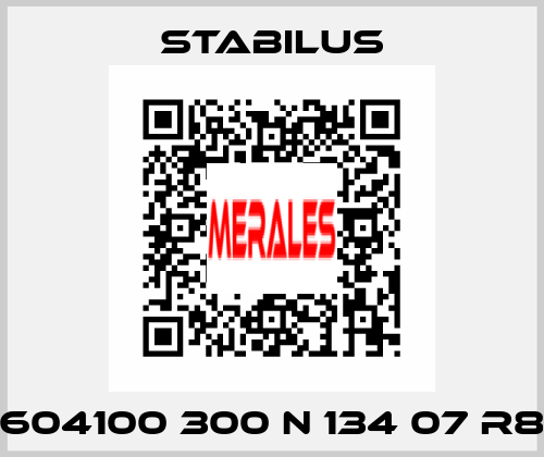 604100 300 N 134 07 R8 Stabilus