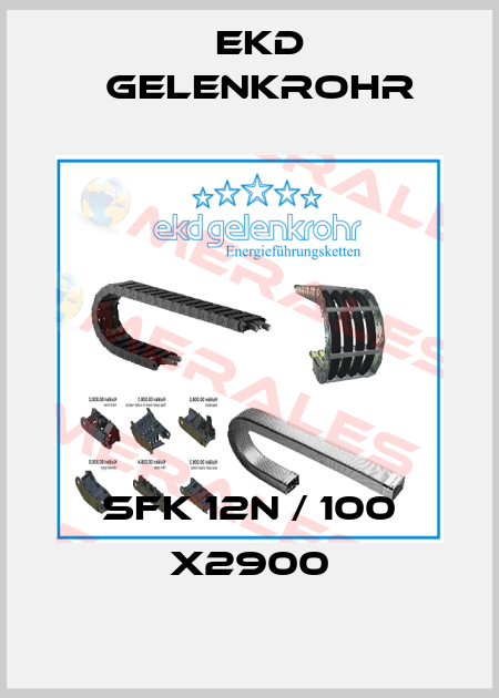SFK 12N / 100 x2900 Ekd Gelenkrohr