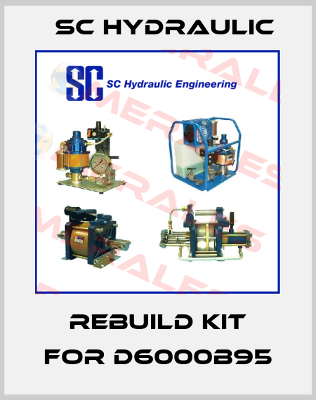 Rebuild kit for D6000B95 SC Hydraulic