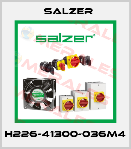 H226-41300-036M4 Salzer