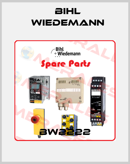 BW2222 Bihl Wiedemann