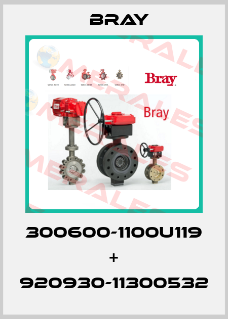 300600-1100U119 + 920930-11300532 Bray