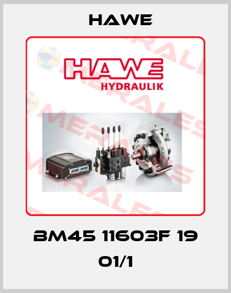 BM45 11603F 19 01/1 Hawe