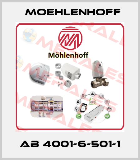 AB 4001-6-501-1 Moehlenhoff