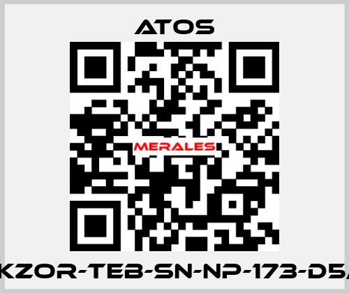 DKZOR-TEB-SN-NP-173-D5/F Atos