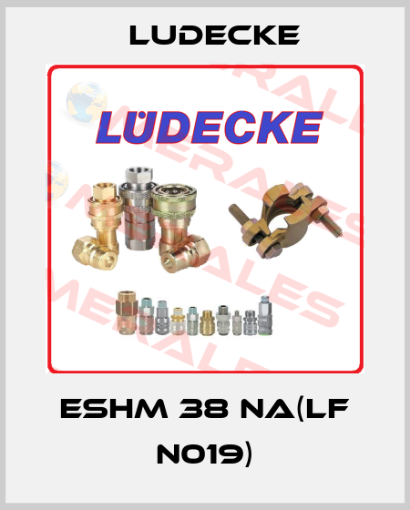 ESHM 38 NA(LF N019) Ludecke
