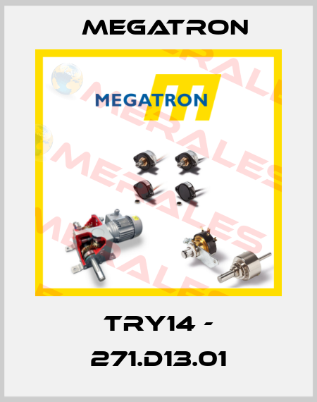 TRY14 - 271.D13.01 Megatron