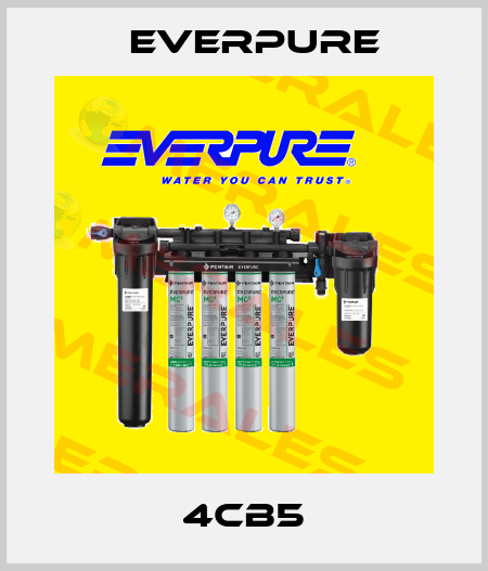 4CB5 Everpure