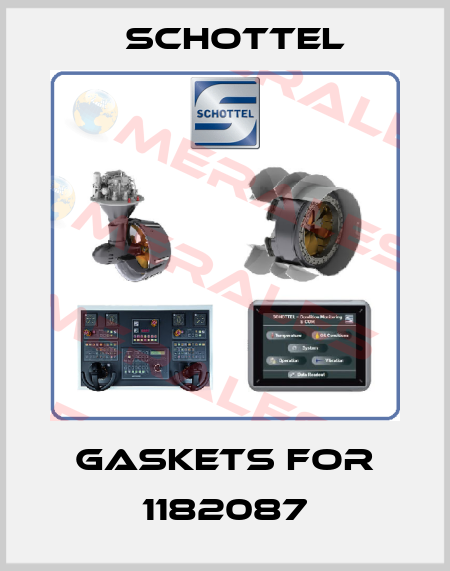 gaskets for 1182087 Schottel