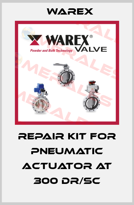 repair kit for pneumatic actuator AT 300 DR/SC Warex