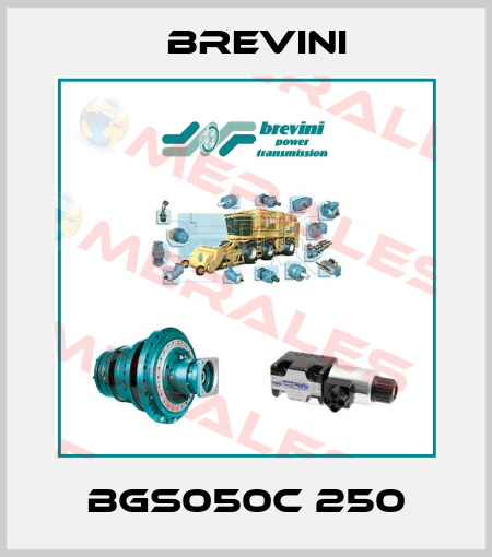 BGS050C 250 Brevini