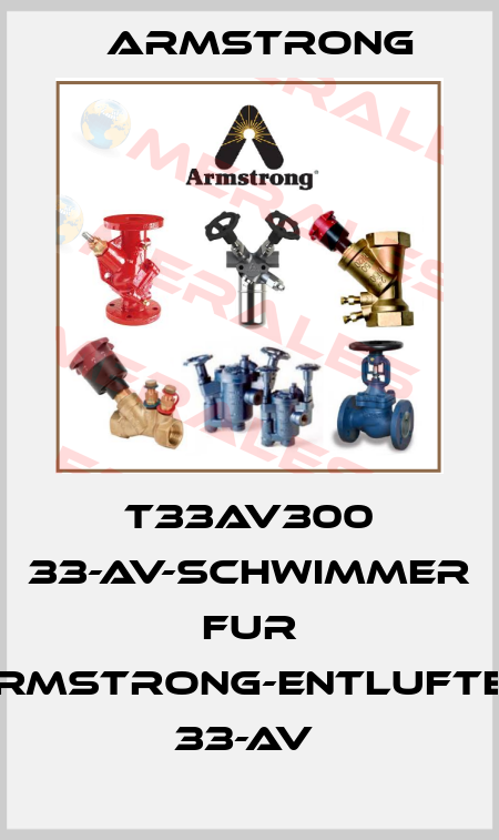 T33AV300 33-AV-SCHWIMMER FUR ARMSTRONG-ENTLUFTER 33-AV  Armstrong