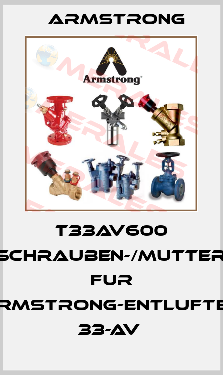 T33AV600 33-AV-SCHRAUBEN-/MUTTERNSATZ FUR ARMSTRONG-ENTLUFTER 33-AV  Armstrong