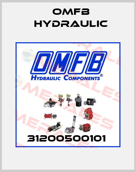31200500101  OMFB Hydraulic