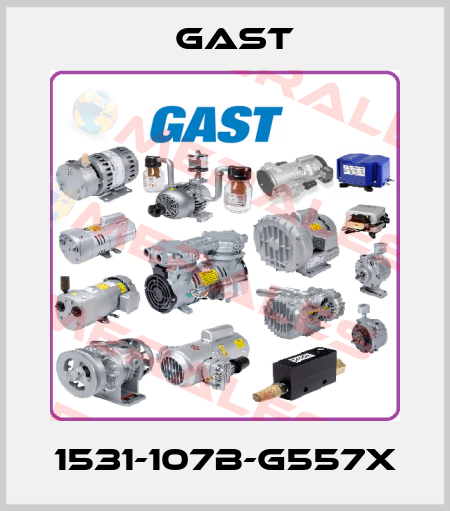 1531-107B-G557X Gast