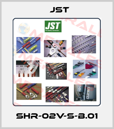 SHR-02V-S-B.01 JST