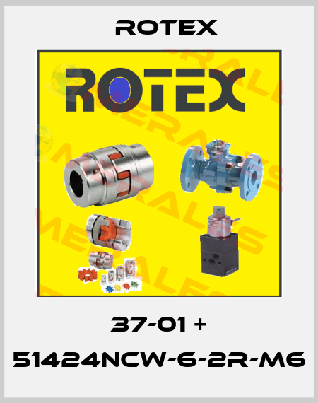 37-01 + 51424NCW-6-2R-M6 Rotex