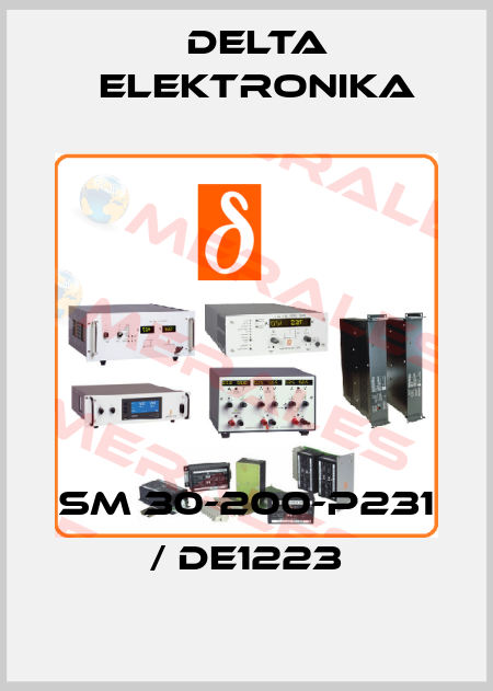 SM 30-200-P231 / DE1223 Delta Elektronika