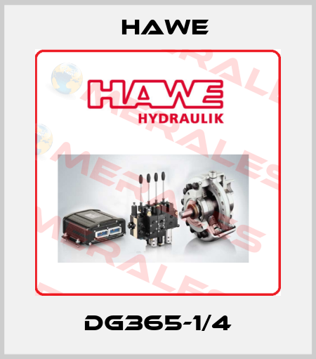 DG365-1/4 Hawe