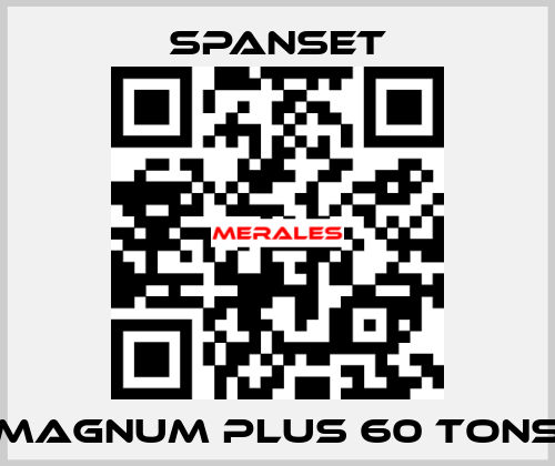 magnum plus 60 tons SpanSet