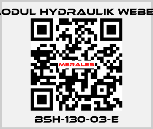 BSH-130-03-E MODUL HYDRAULIK WEBER