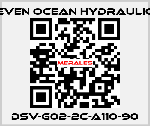 DSV-G02-2C-A110-90 Seven Ocean Hydraulics