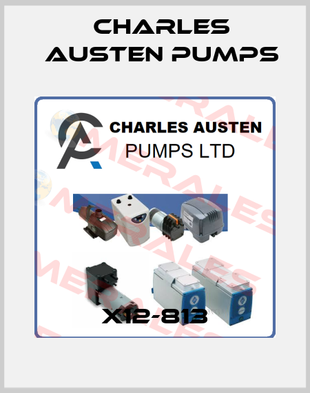 X12-813 Charles Austen Pumps