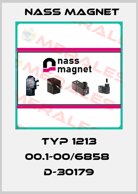 TYP 1213 00.1-00/6858  D-30179 Nass Magnet