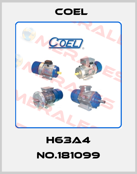H63A4 NO.181099 Coel