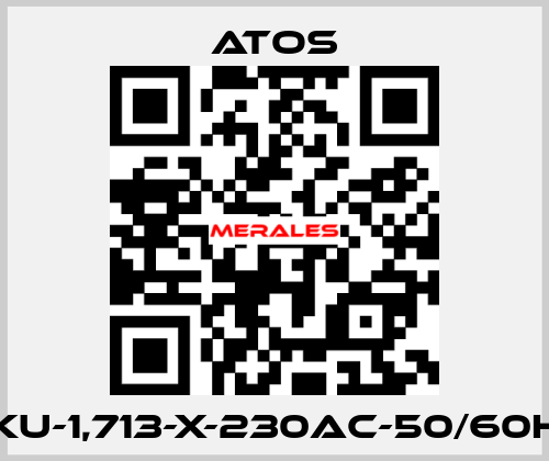 DKU-1,713-X-230AC-50/60HZ Atos