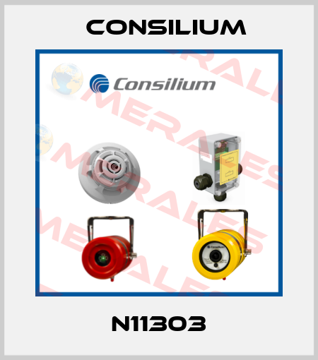 N11303 Consilium