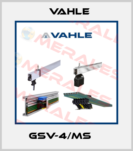 GSV-4/MS     Vahle