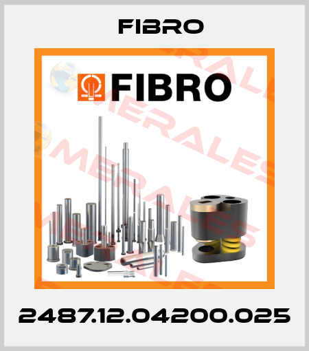 2487.12.04200.025 Fibro