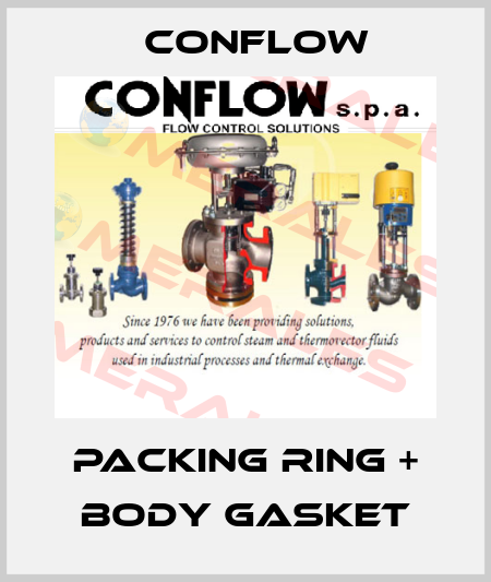 Packing ring + body gasket CONFLOW