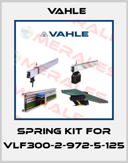 spring kit for VLF300-2-972-5-125 Vahle