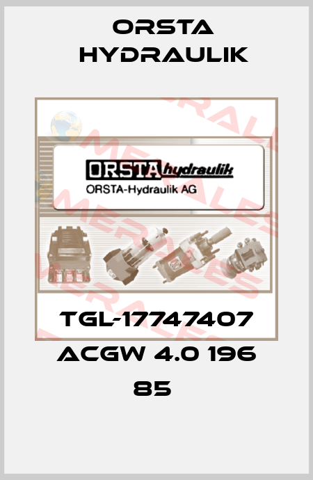 TGL-17747407 ACGW 4.0 196 85  Orsta Hydraulik