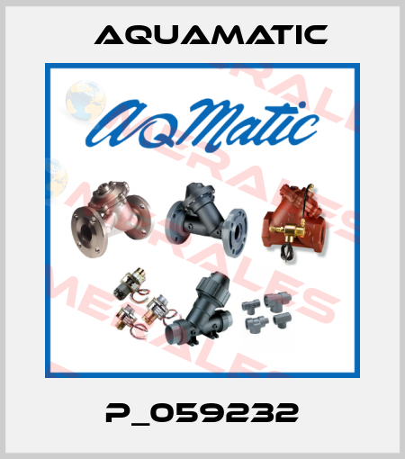 P_059232 AquaMatic