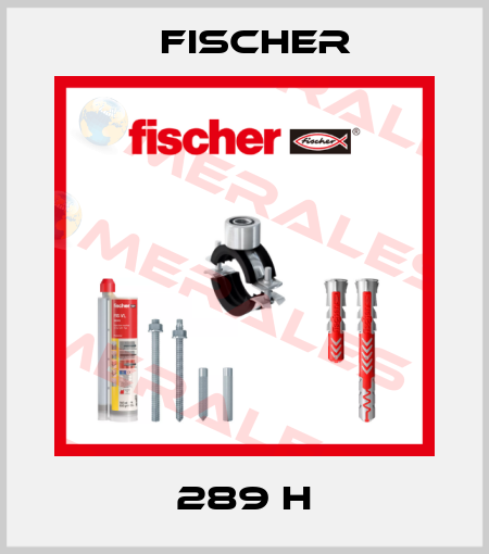 289 H Fischer