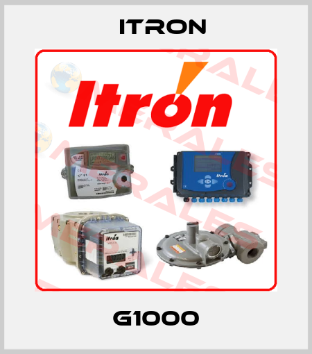 G1000 Itron