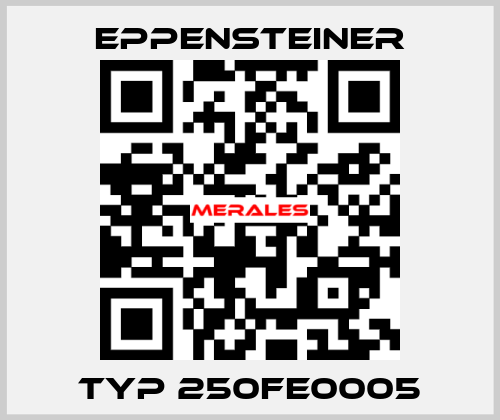 Typ 250FE0005 Eppensteiner