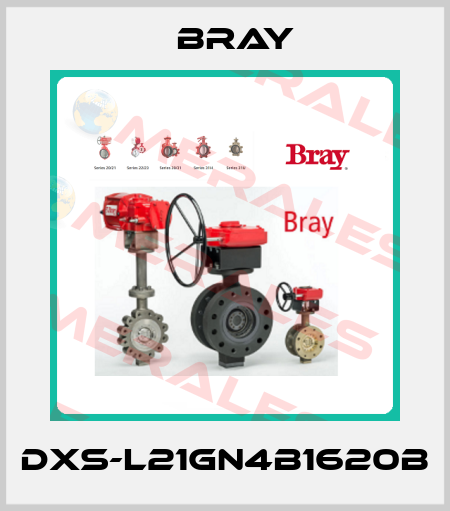 DXS-L21GN4B1620B Bray