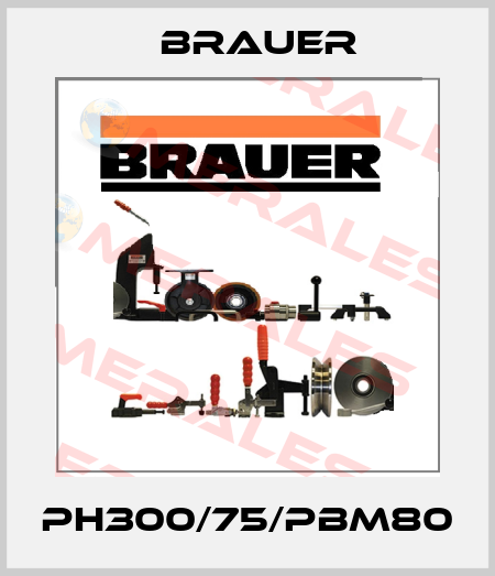 PH300/75/PBM80 Brauer