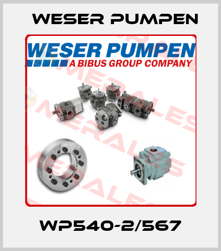 WP540-2/567 Weser Pumpen