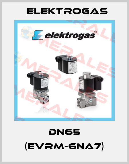 DN65 (EVRM-6NA7) Elektrogas